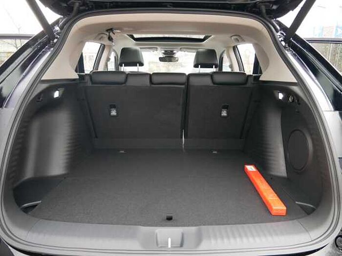 Honda ZR-V 2.0 e: HEV Advance LED+LEDER+PANORAMA Andere