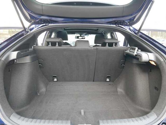 Honda Civic 1.0 6-GANG NAVI-KAMERA+PANORAMA+SHZ Executive
